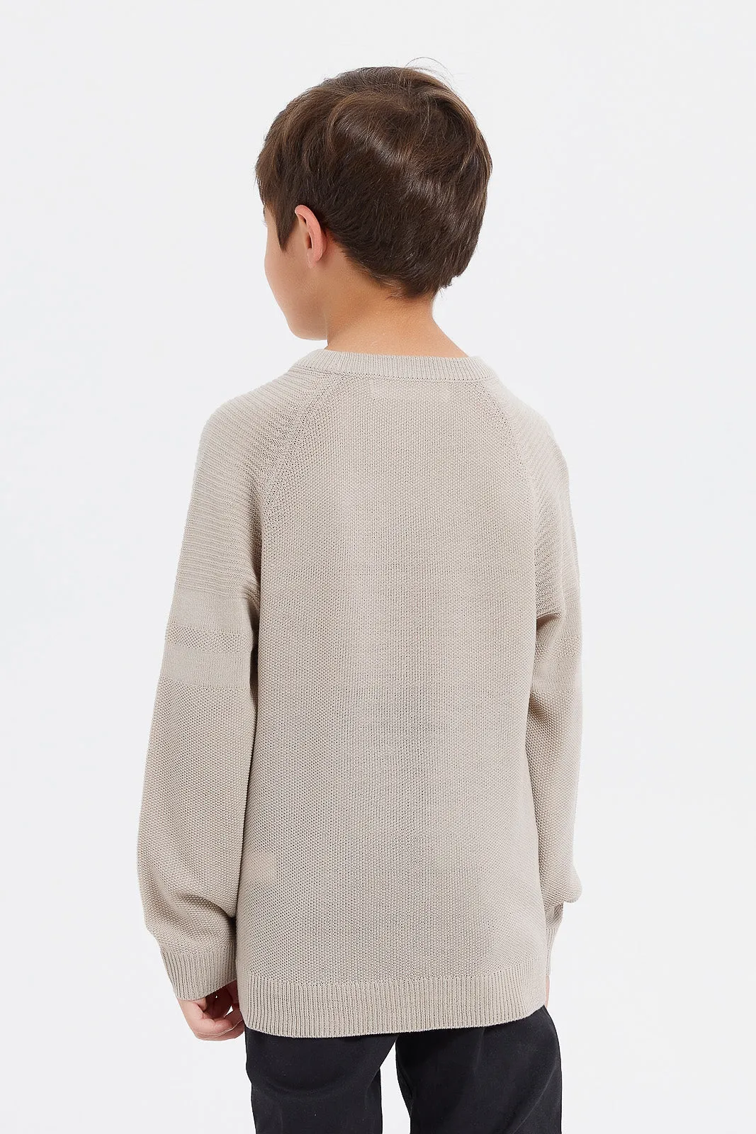Boys Beige Plain Jumper