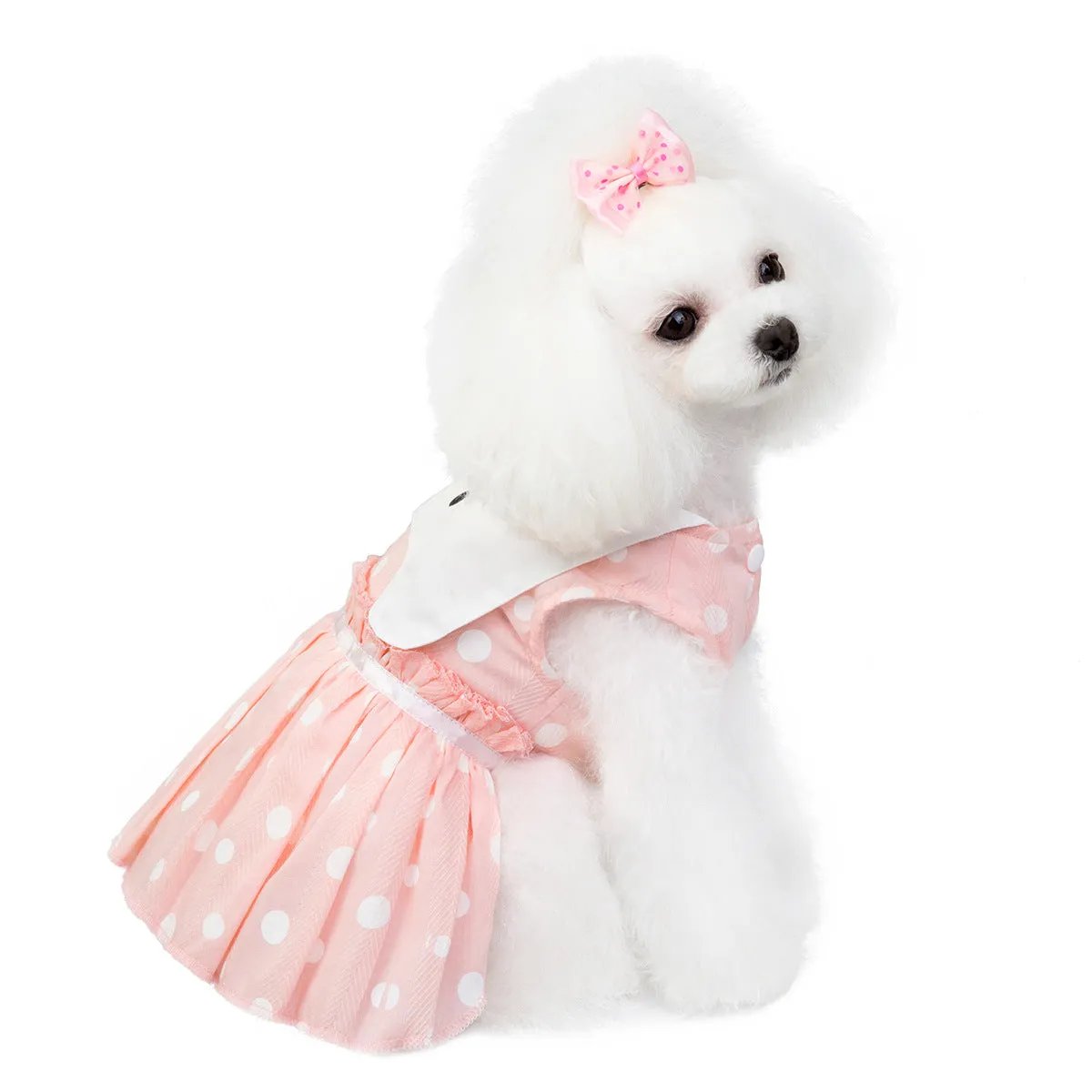 Summer pet clothing cat skirt