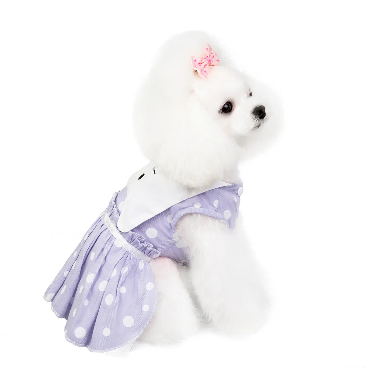 Summer pet clothing cat skirt
