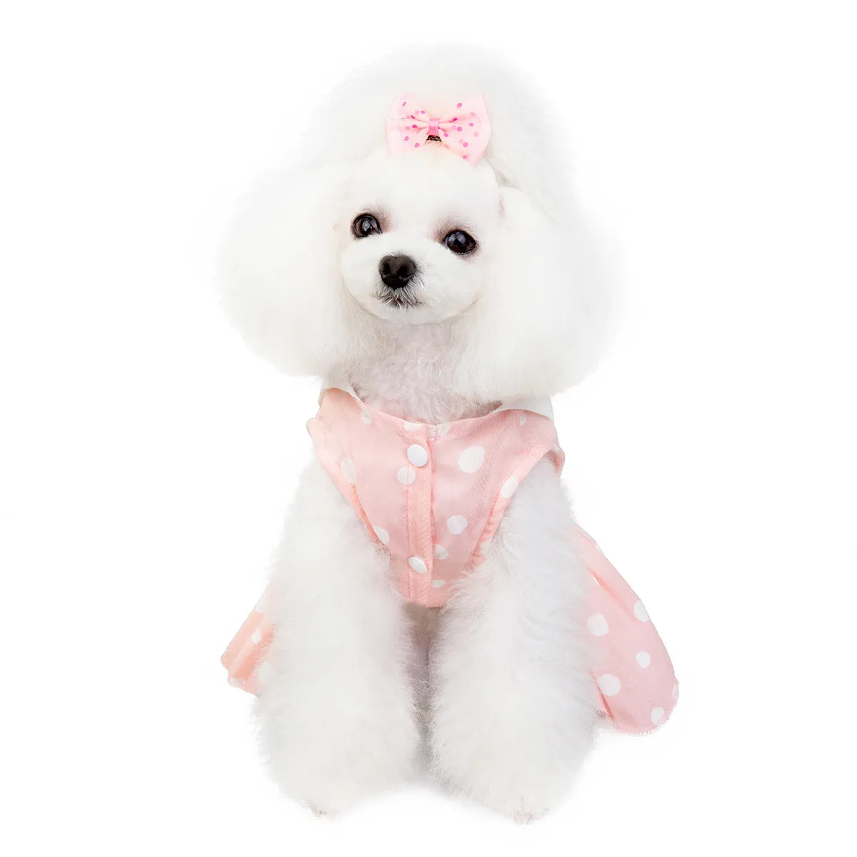 Summer pet clothing cat skirt