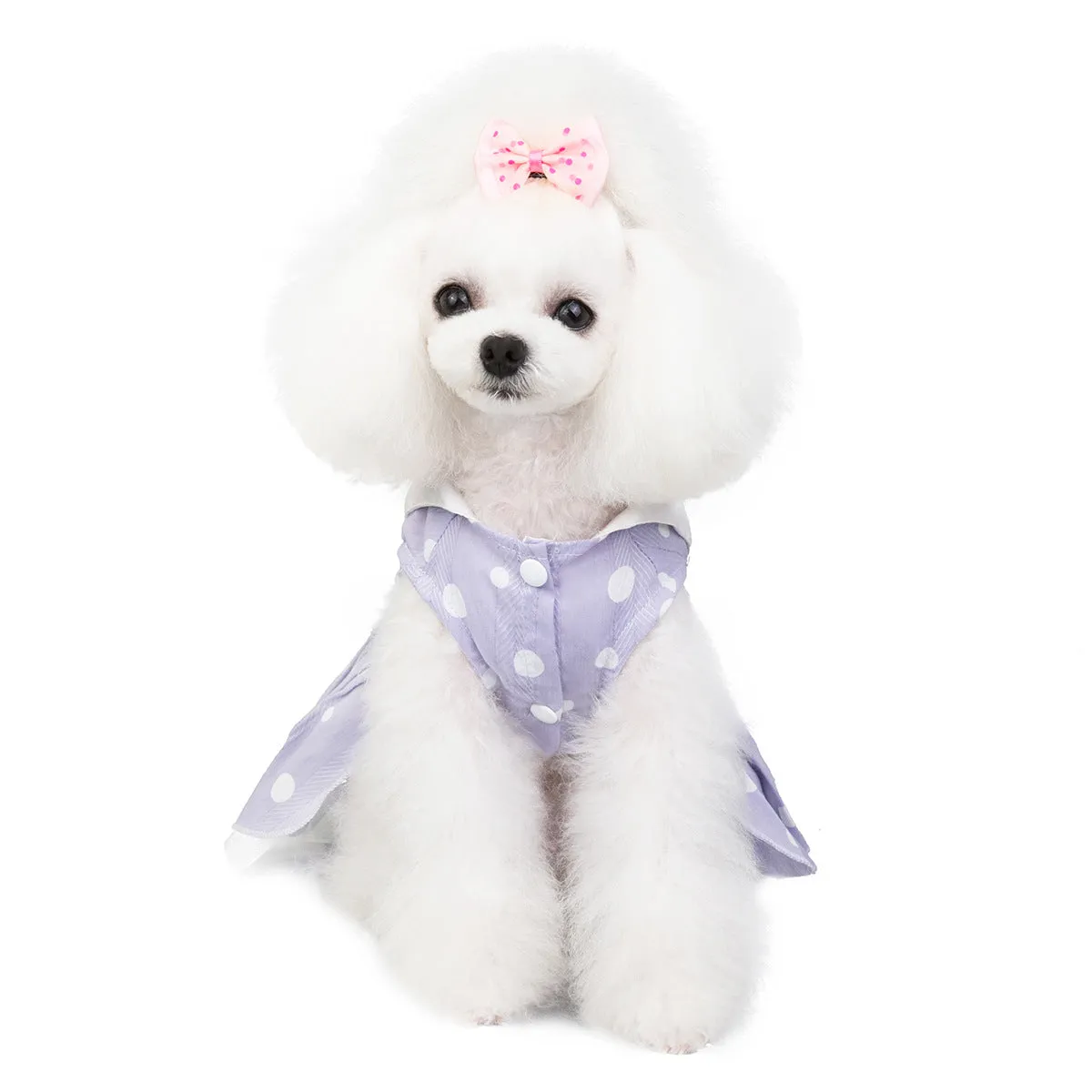 Summer pet clothing cat skirt